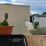 Lägenhet Climatise Avec Terrasse, Proche Grazel Gruissan
